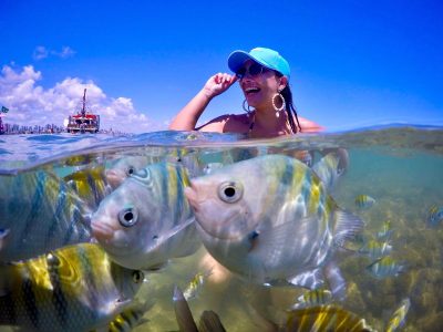 WhatsApp Image 2024-11-02 at 21.19.14